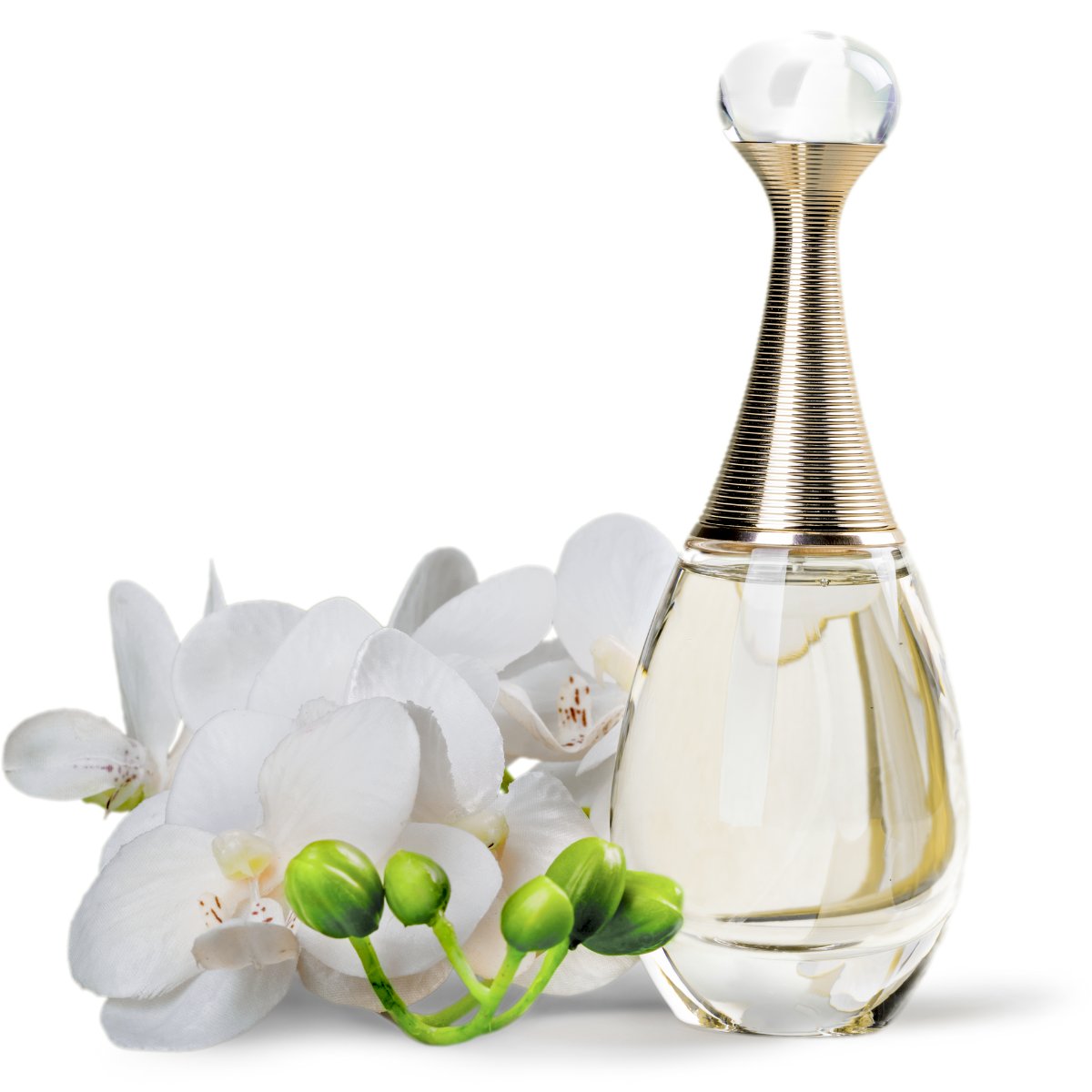 PERFUMES DE FEROMONAS